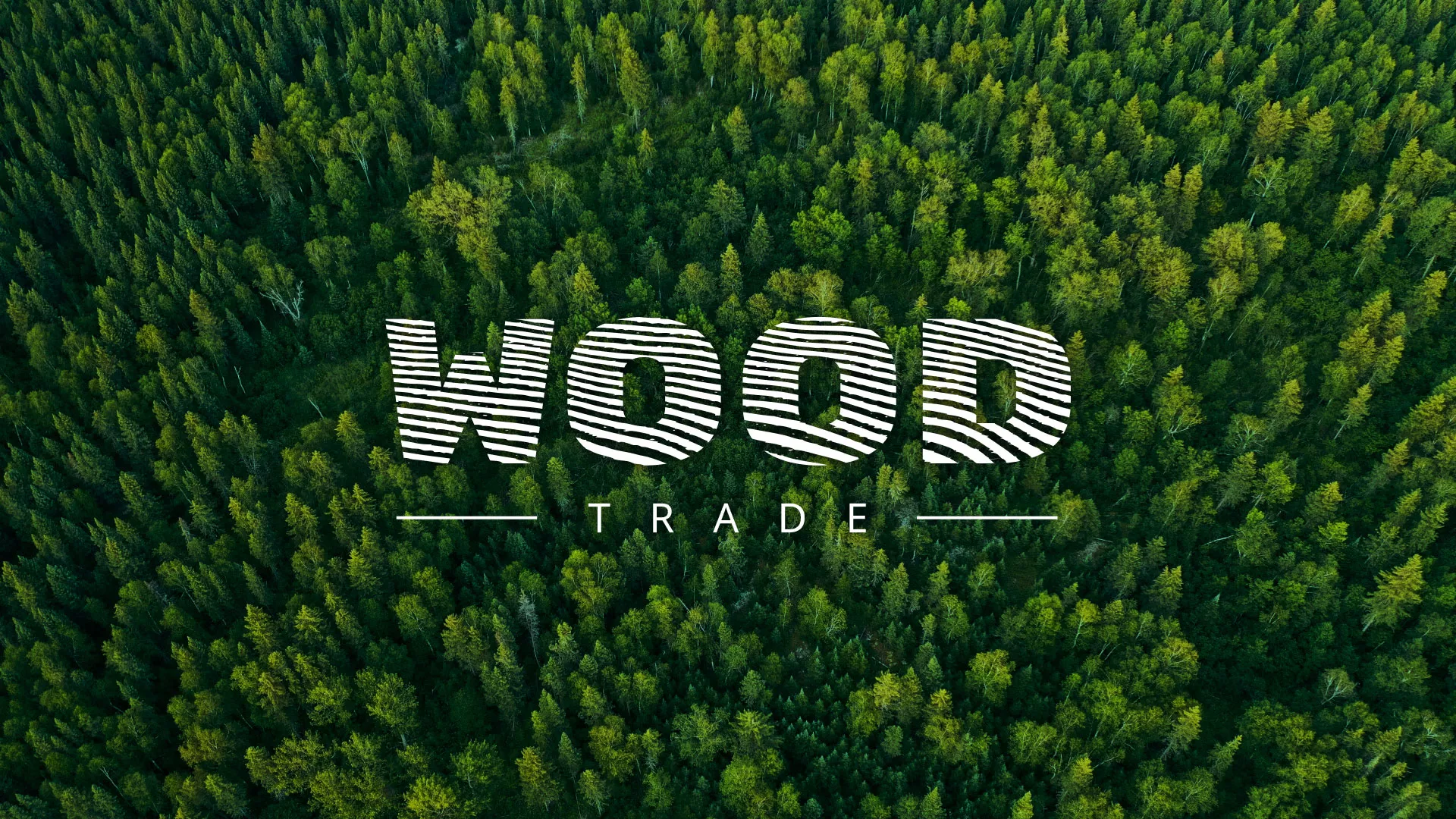 Разработка интернет-магазина компании «Wood Trade» в Меленках