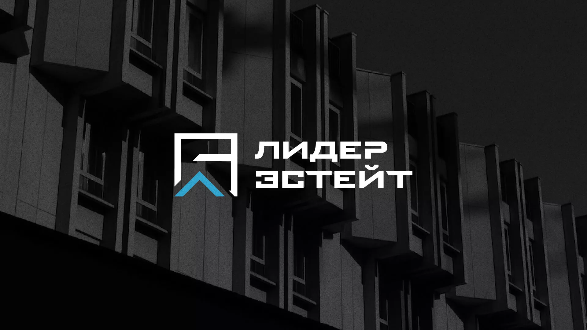 Разработка логотипа агентства недвижимости «Лидер Эстейт» в Меленках